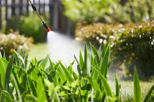 Tamper-Resistant Bait Stations for Rodents in Mount Sterling