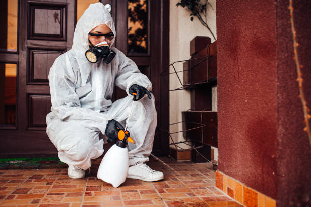 Attic and Crawl Space Rodent Treatment in Mount Sterling