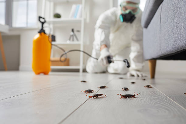 Commercial Rodent Management in Mount Sterling